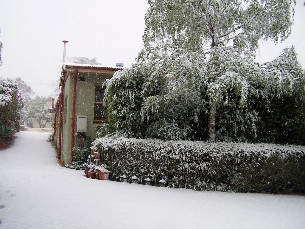 Vila Shelton-Lea Katoomba Exteriér fotografie