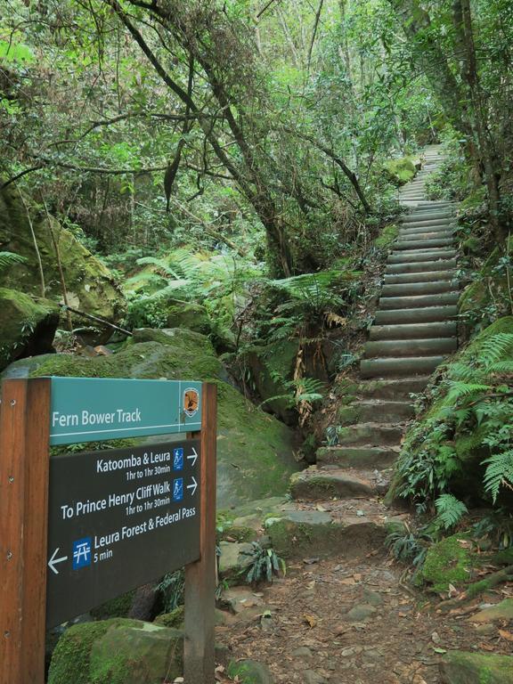 Vila Shelton-Lea Katoomba Exteriér fotografie