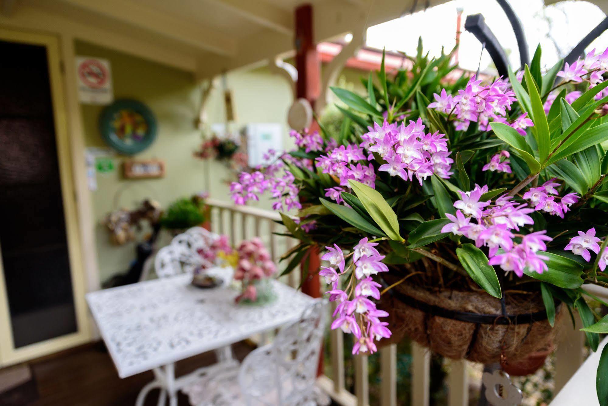 Vila Shelton-Lea Katoomba Exteriér fotografie